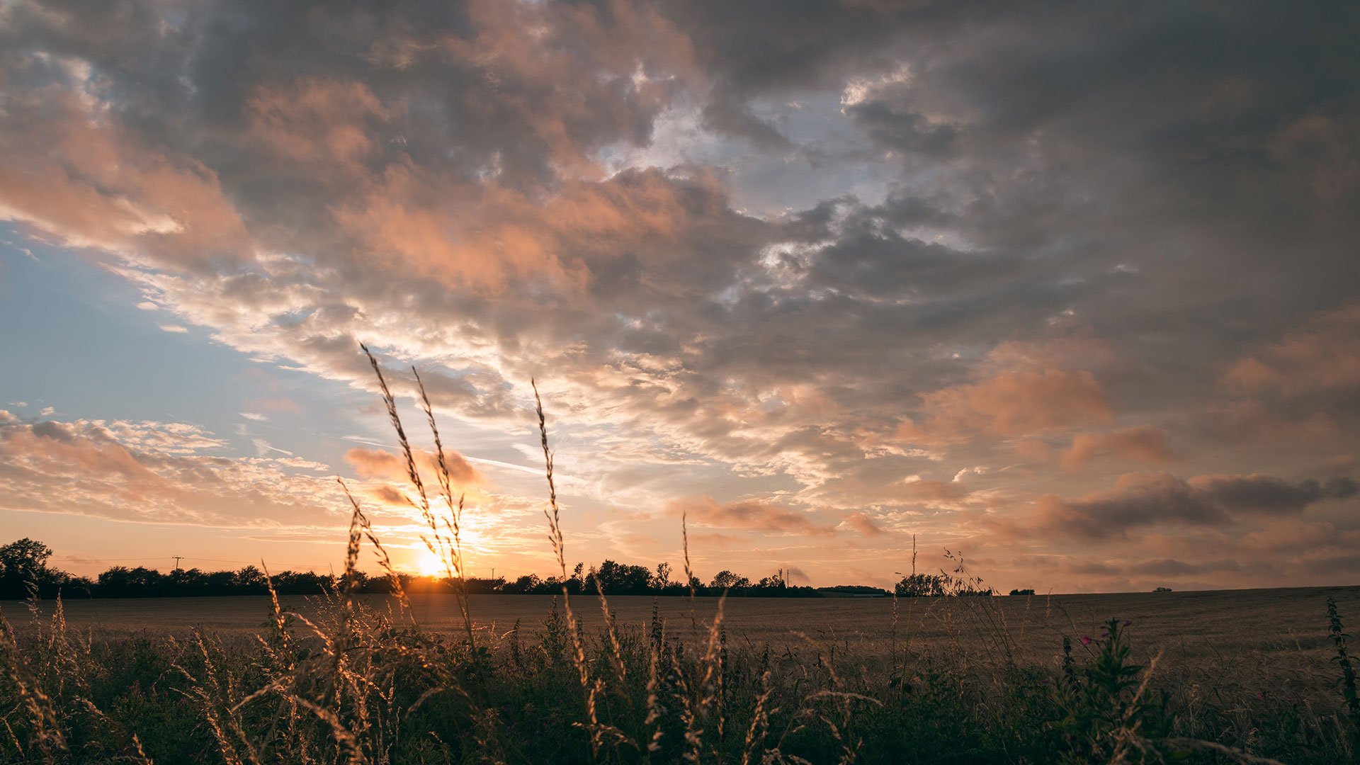 Image of sunset over fields